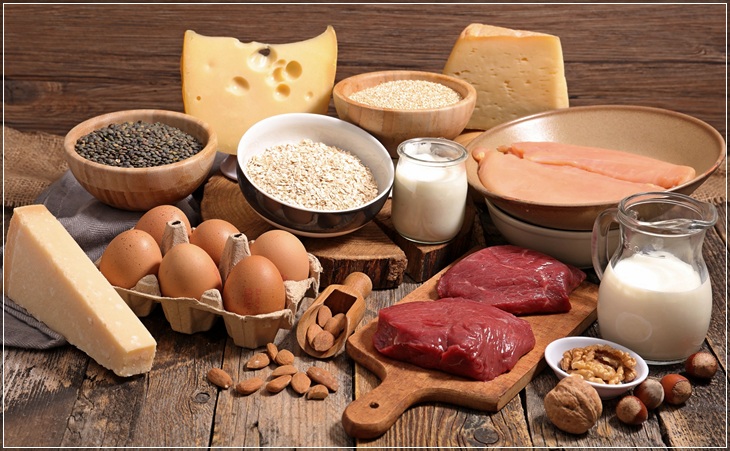 белки жиры и углеводы